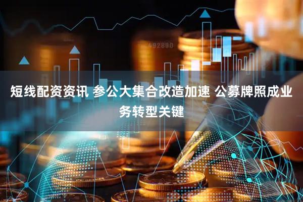 短线配资资讯 参公大集合改造加速 公募牌照成业务转型关键