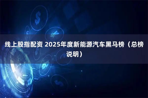 线上股指配资 2025年度新能源汽车黑马榜（总榜说明）