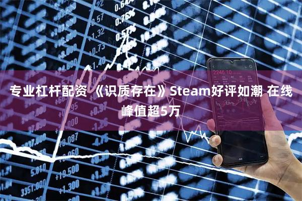 专业杠杆配资 《识质存在》Steam好评如潮 在线峰值超5万